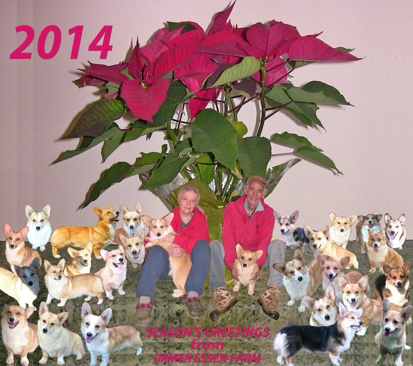 Holiday Greetings 2014